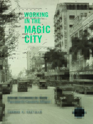 cover image of Working in the Magic City